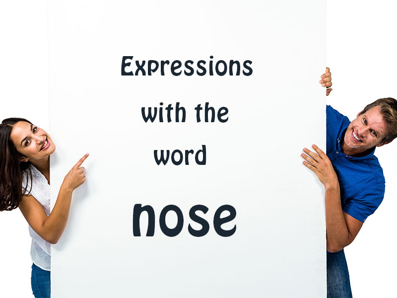 Expressions with the word "nose"