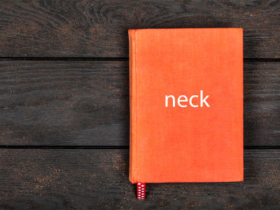 Expressions with body parts: Neck.