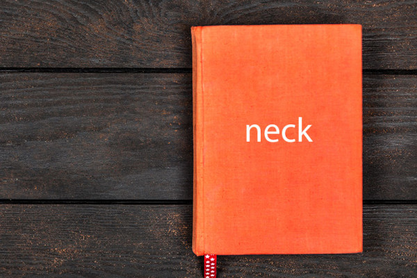 Expresiones con partes del cuerpo: Neck.