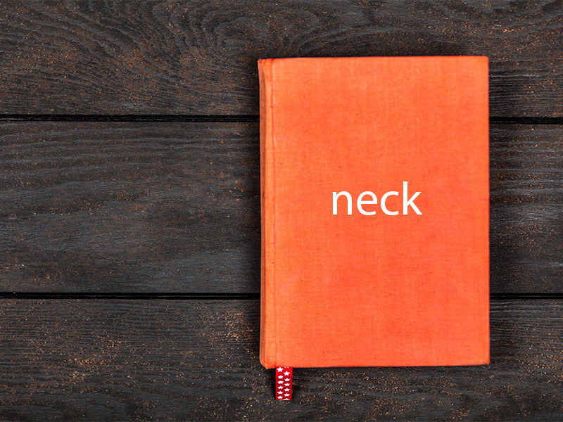 Expresiones con partes del cuerpo: Neck.