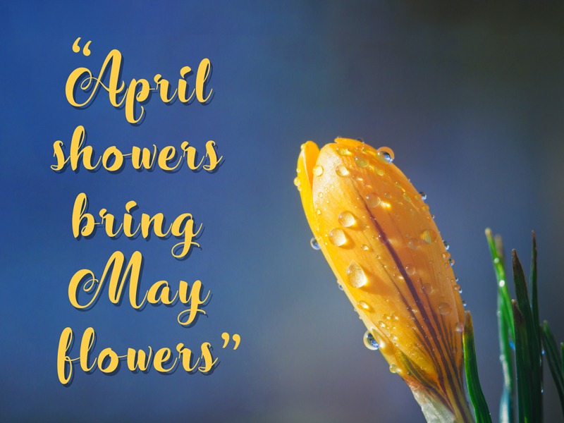 April showers bring May flowers