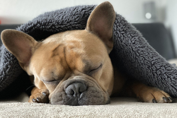 Vocabulary related to sleep in English
